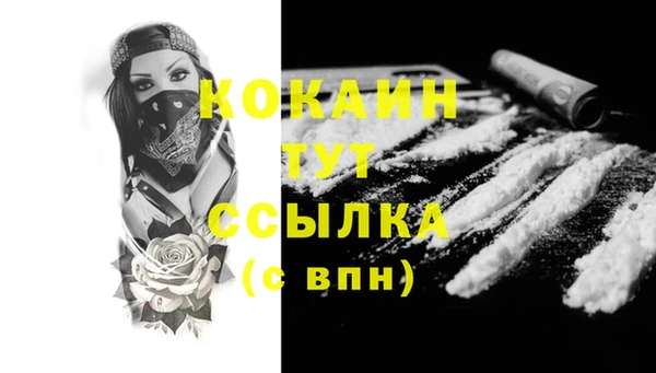 альфа пвп Заводоуковск