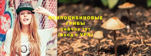 альфа пвп Заводоуковск