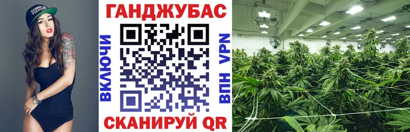 Бошки марихуана конопля  blacksprut ТОР  Рошаль 